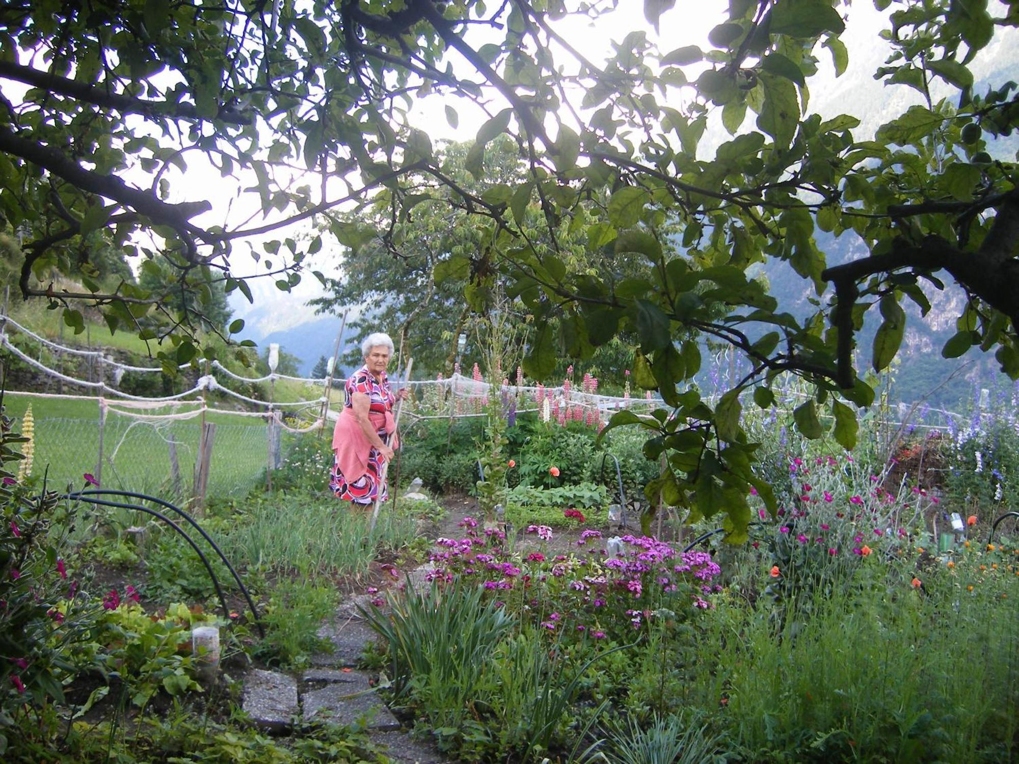 Da Erminia Bed & Breakfast Verdabbio Eksteriør bilde
